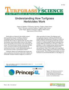 W 352  Understanding How Turfgrass Herbicides Work Gregory K. Breeden, UT Extension Specialist, Turfgrass Weed Science James T. Brosnan, Associate Professor, Turfgrass Weed Science