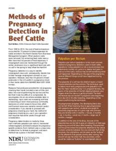 Methods of Pregnancy Detection in Beef Cattle