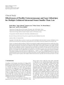 Effectiveness of Flexible Ureterorenoscopy and Laser Lithotripsy for Multiple Unilateral Intrarenal Stones Smaller Than 2 cm