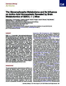 The Glycerophospho Metabolome and Its Influence on Amino Acid Homeostasis Revealed by Brain Metabolomics of GDE1(-/-) Mice