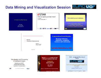 Data Mining and Visualization Session  Data Mining and Visualization Session DS-3: We are not going to do algorithmic research, we just must render “VO-effective” existing stuff.
