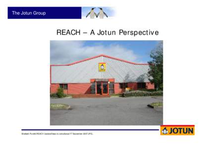 REACH - A Jotun perspective