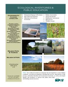 Water pollution / Hydrology / Environmental soil science / Pollution / Stormwater / Watershed management / Wetland / Water / Environment / Earth