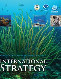 NOAA Coral Reef Conservation Program International Strategy