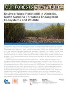 OUR FORESTS AREN’T FUEL. Enviva’s Wood Pellet Mill in Ahoskie, North Carolina Threatens Endangered Ecosystems and Wildlife © Matt Eich