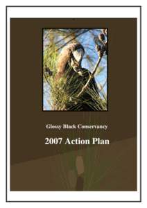 -+  Glossy Black Conservancy 2007 Action Plan