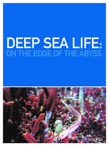 DEEP SEA LIFE: ON THE EDGE OF THE ABYSS 1  It is the special burden of marine conservationists that people can not easily see what
