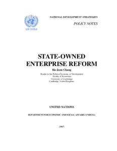 NATIONAL DEVELOPMENT STRATEGIES  POLICY NOTES UN DESA  STATE-OWNED