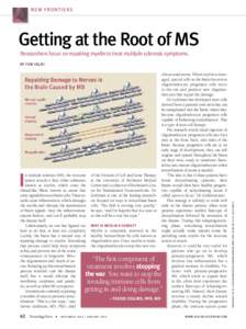 N E W F RONT I E RS  Getting at the Root of MS Researchers focus on repairing myelin to treat multiple sclerosis symptoms.  I