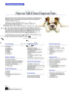 Pain Management for Dogs and Cats  How to Tell if Your Dog is in Pain. Dogs feel pain for many of the same reasons as humans: infections, dental problems, arthritis, bone disease and cancer. They also feel discomfort fol