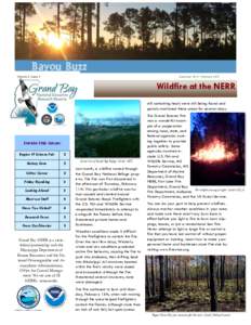 Bayou Buzz Volume 2, Issue 1 December 2015– FebruaryWildfire at the NERR