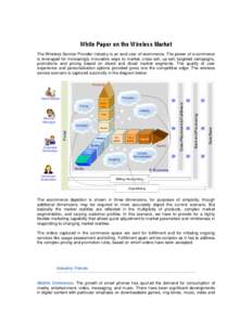 White Paper on the Wireless Market The Wireless Service Provider industry is an avid user of ecommerce. The power of e-commerce is leveraged for increasingly innovative ways to market, cross-sell, up-sell, targeted campa