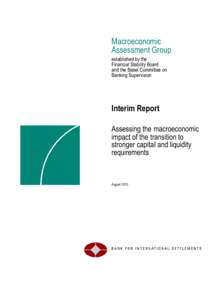 Report by the Macroeconomic Assessment Group