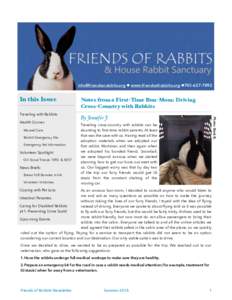 Rabbits and hares / Livestock / Anthrozoology / Rabbits as pets / Biota / Domestic rabbit / Agriculture / Rabbit / Animal loss / Cuniculture