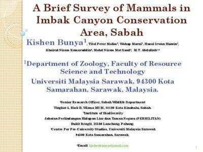 A Brief Survey of Mammals in Imbak Canyon Conservation Area, Sabah