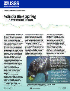 Prepared in cooperation with Volusia County  Volusia Blue Spring