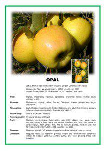 OPAL (UEB[removed]was produced by crossing Golden Delicious with Topaz Community Plant Variety Rights EU[removed]from[removed]