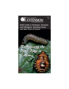 Field Guide to Predators, Parasies and Pathogens Attacking Insect and Mite Pests of Cotton Recognizing the Good Bugs in Cotton
