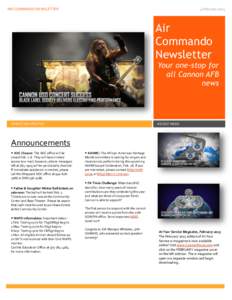 AIR COMMANDO NEWSLETTER  4 February 2015 Air Commando