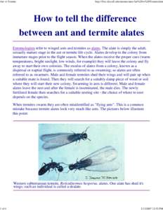 Hexapoda / Symbiosis / Insect ecology / Biology / Termites / Ant / Alate / Nuptial flight / Cryptotermes brevis / Nasutitermes corniger