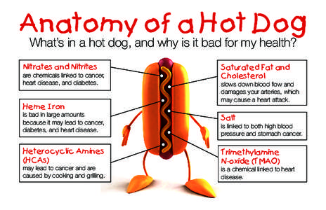 Anatomy of a Hot Dog What’s in a hot dog, and why is it bad for my health? Nitrates and Nitrites  are chemicals linked to cancer,