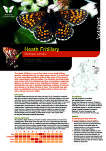 factsheet Heath Fritillary Melitaea athalia Conservation status Priority Species in UK Biodiversity Action Plan. Fully protected under Section 9 of the Wildlife and