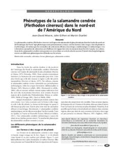 H e r p é t o l o g i e  Phénotypes de la salamandre cendrée (Plethodon cinereus) dans le nord-est de l’Amérique du Nord Jean-David Moore, John Gilhen et Martin Ouellet