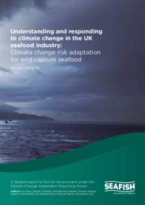 Understanding and responding to climate change in the UK seafood industry: Climate change risk adaptation for wild capture seafood Winter