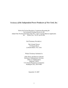 Testimony of the Independent Power Producers of New York, Inc