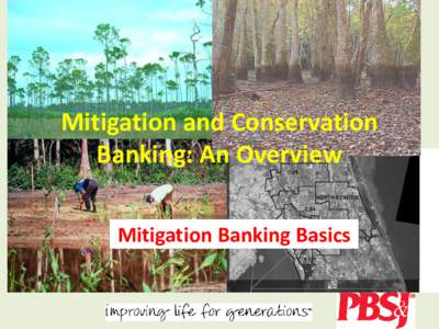 Mitigation and Conservation Banking: An Overview Mitigation Banking Basics Mitigation and Conservation Banks • Offsets impacts for multiple projects