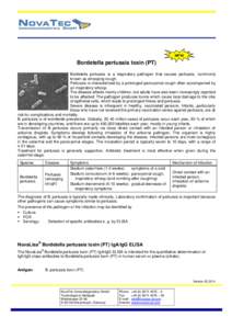 NEW  Bordetella pertussis toxin (PT) Bordetella pertussis is a respiratory pathogen that causes pertussis, commonly known as whooping cough. Pertussis is characterized by a prolonged paroxysmal cough often accompanied by