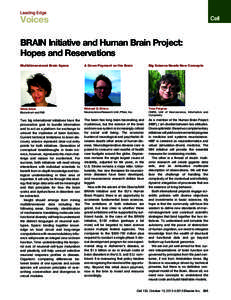 BRAIN Initiative and Human Brain Project: Hopes and Reservations