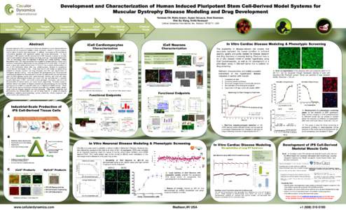 Development and Characterization of Human Induced Pluripotent Stem Cell-Derived Model Systems for Muscular Dystrophy Disease Modeling and Drug Development Vanessa Ott, Blake Anson, Susan DeLaura, Brad Swanson, Wen Bo Wan