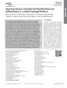 Directing Valvular Interstitial Cell Myofibroblast&#x02010;Like Differentiation in a Hybrid Hydrogel Platform