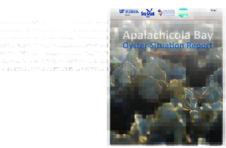 Apalachicola Oyster Report Executive Summary