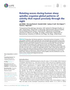 SHORT REPORT  Rotating waves during human sleep spindles organize global patterns of activity that repeat precisely through the night