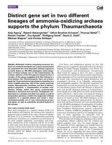 Distinct gene set in two different lineages of ammonia-oxidizing archaea supports the phylum Thaumarchaeota