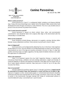 Canine Parvovirus By, Karter B. Neal, DVM 5408 S. 12th Ave. Tucson, AZ9643 www.santacruzpet.com