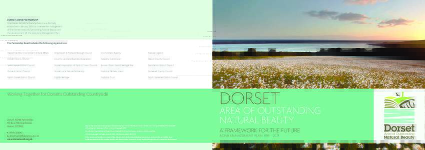 Dorset AONB Partnership The Dorset AONB Partnership Board was formally established in January 2003 to oversee the management of the Dorset Area of Outstanding Natural Beauty and the development of this statutory Manageme