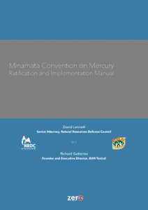 Minamata Convention on Mercury  Ratification and Implementation Manual David Lennett
