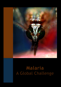 Malaria  A Global Challenge 2