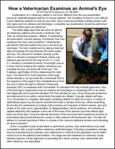How a Veterinarian Examines an Animal’s Eye ACVO Past PR Chairperson, Dr. Bill Miller Examination of a veterinary patient is not much different from the eye examination physician ophthalmologists perform on human patie