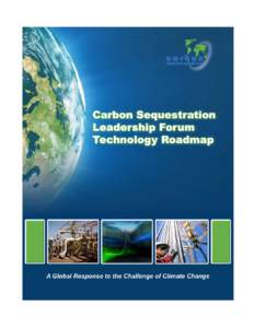 Carbon sequestration / Energy / Environment / Carbon capture and storage / Combustion / Energy economics / Integrated gasification combined cycle / Carbon Sequestration Leadership Forum / Flue gas / Chemical engineering / Carbon dioxide / Chemistry