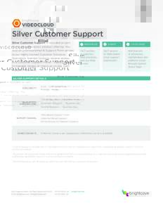 Silver Customer Support Silver Customer Support is included as part of annual subscription product offering. You receive unlimited email & Support Form access to our highly trained Customer Solutions Specialists. Named C