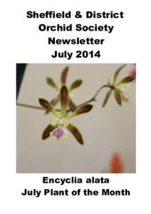 Sheffield & District Orchid Society Newsletter JulyEncyclia alata