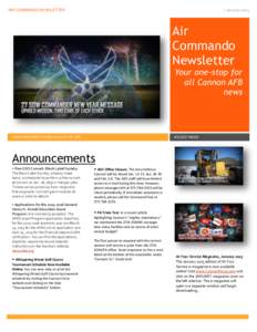 AIR COMMANDO NEWSLETTER  7 January 2015 Air Commando