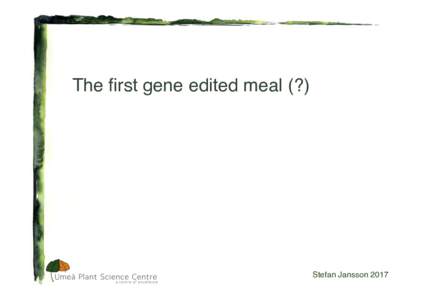   The first gene edited meal (?) Stefan Jansson 2017  Mutants lacking PsbS can be are less fit, and