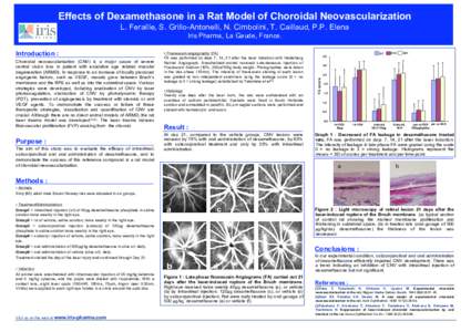 EFFECTS OF DEXAMETHASONE IN A RAT MODEL OF CHOROIDAL NEOVASCULARIZATION (CNV)