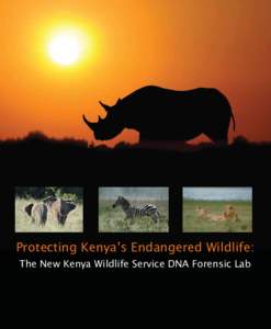 Protecting Kenya’s Endangered Wildlife: The New Kenya Wildlife Service DNA Forensic Lab CRIME IS ON THE RISE AS WILDLIFE NUMBERS CONTINUE TO FALL THE KENYA WILDLIFE SERVICE IS