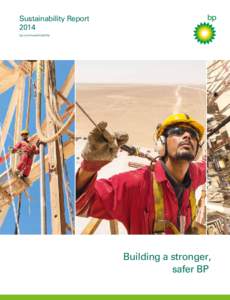 Sustainability Report 2014 bp.com/sustainability Building a stronger, safer BP